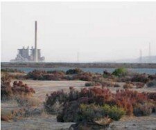 BZE Repowering Port Augusta report released--Renewable energy for South Australia