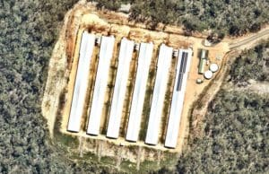 Adare Poultry farm - tallaringa road 200kW