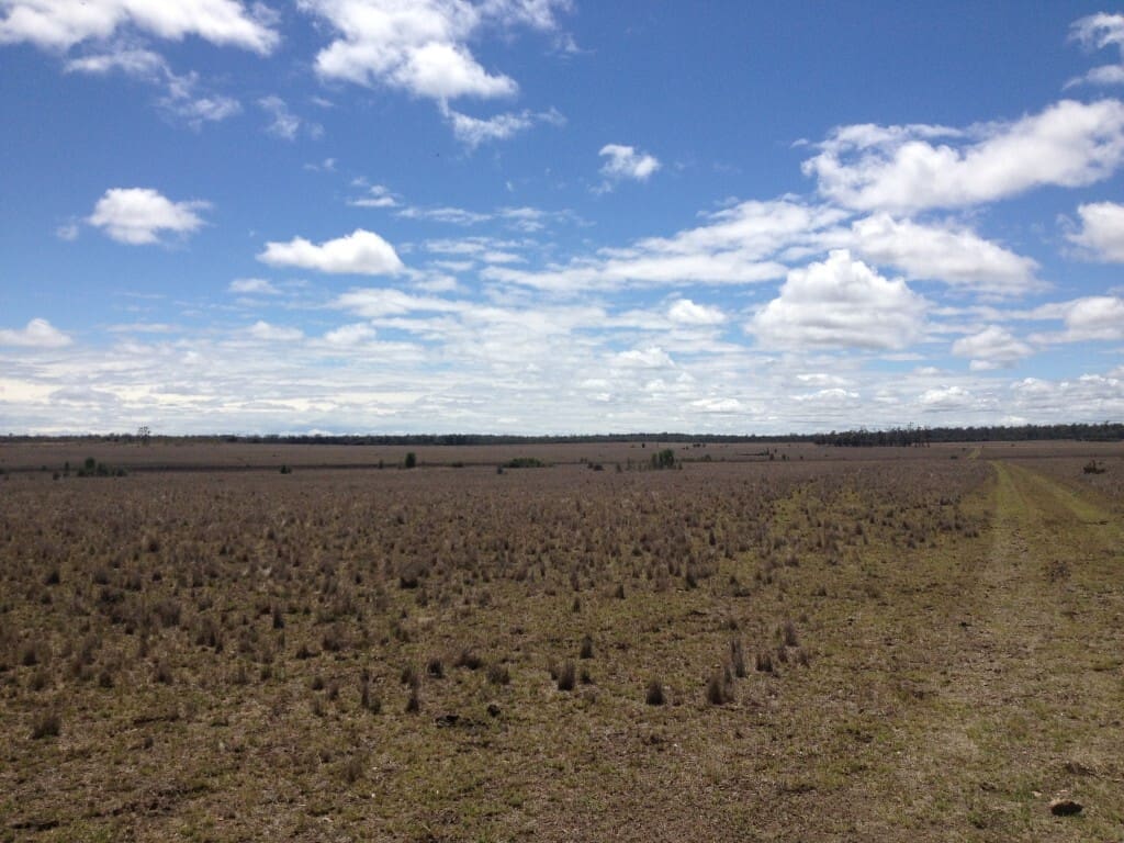 Bulli Creek Solar Farm 1