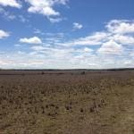 Bulli Creek Solar Farm 1