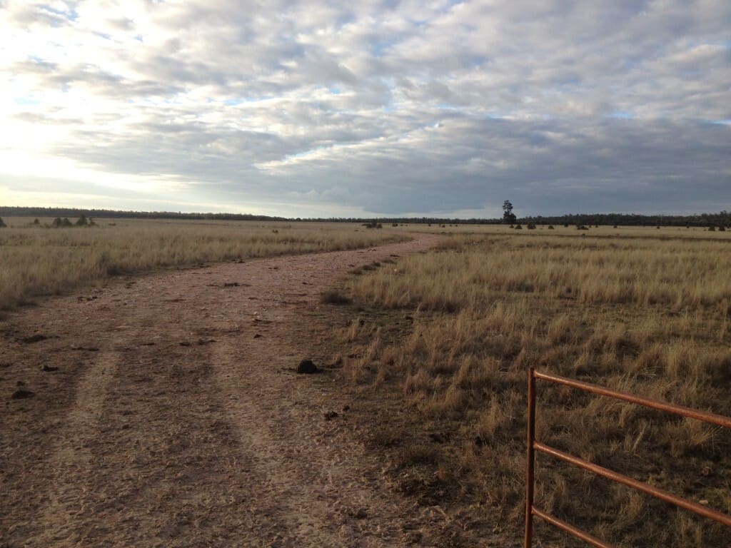 Bulli Creek Solar Farm 2