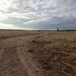 Bulli Creek Solar Farm 2