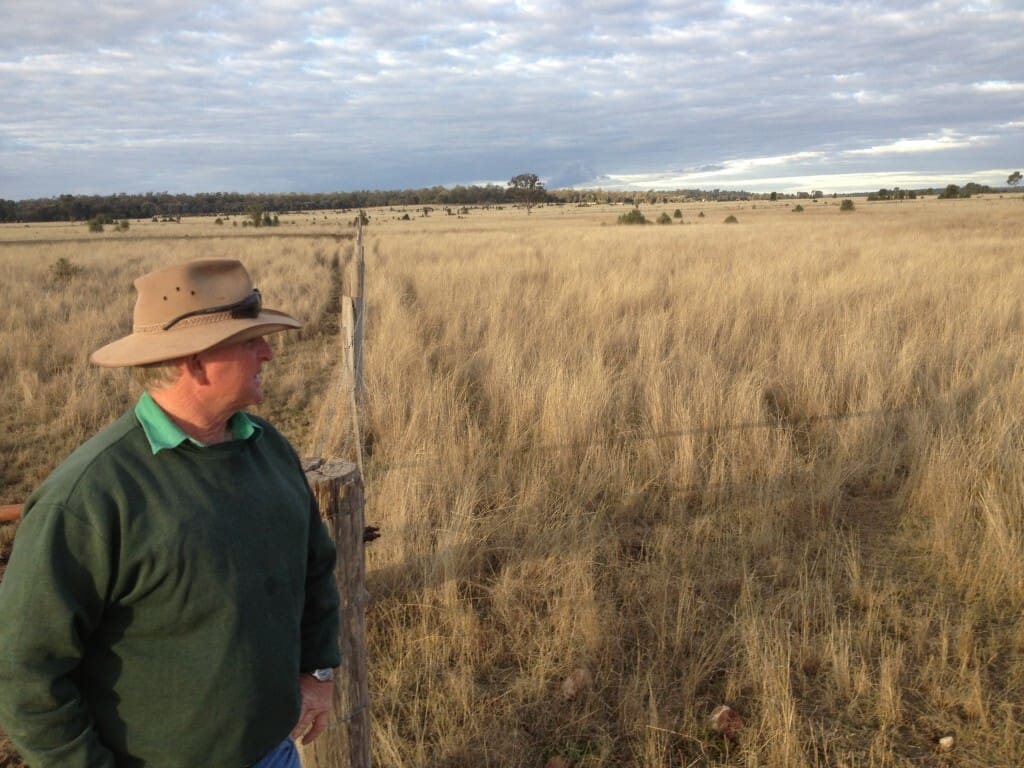 Bulli Creek Solar Farm 3