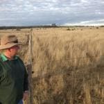 Bulli Creek Solar Farm 3