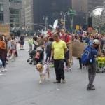 Climate March dogs children ninja turtles