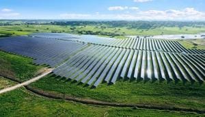 LONGi Solar Panel example project victorian government contract