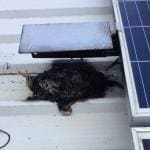 DC Isolator switch on solar panel system burnt out