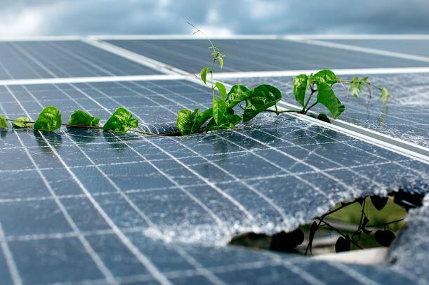 Solar Panel Recycling 101