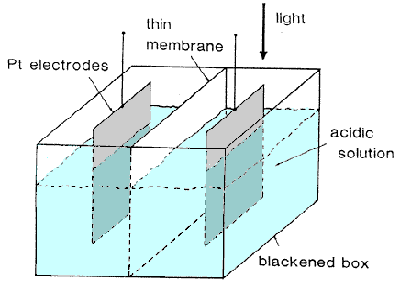 Edmund Becquerel discovered the photoelectric effect