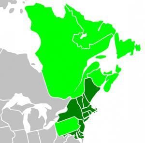 Regional Greenhouse Gas Initiative Map - Partners and Observers