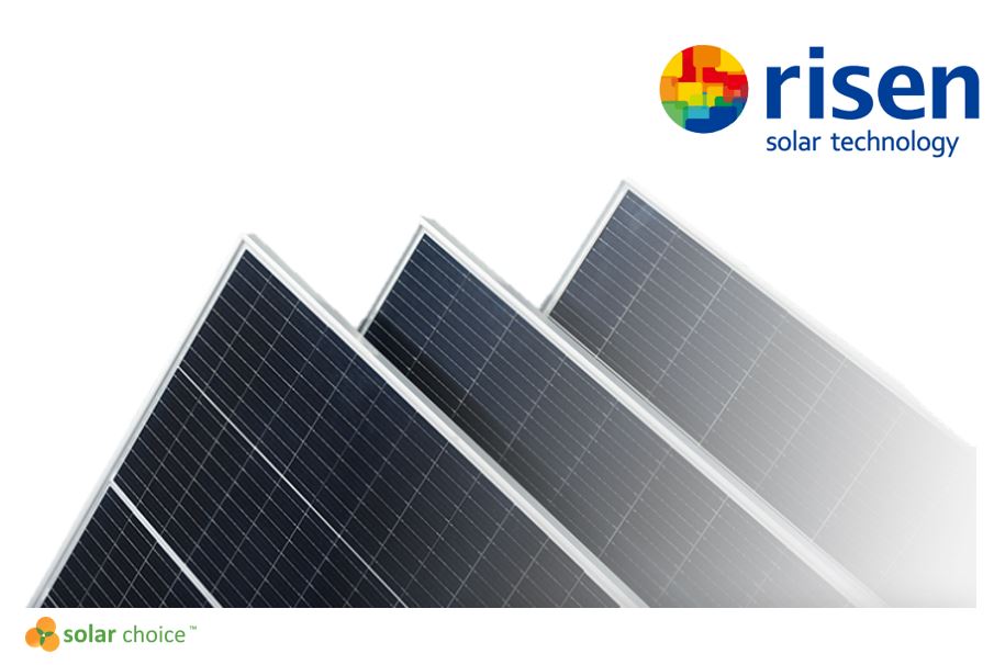 Risen Product Review- Banner