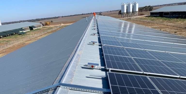 Boort Poultry Farm with 100kW solar power installed on the roof