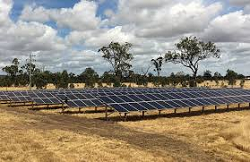 Move Aside Solar, We’re Installing An Algae Panel