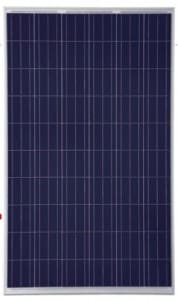 Trina Honey Solar PV cell modules