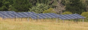 QS amorphous silicon thin-film solar panels10kW Solar PV Farm, Woolomin