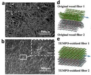 Wood pulp and TEMPO processed film