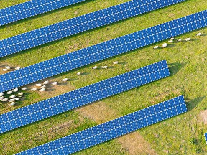 solar energy farming